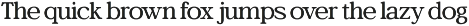 Bagiora - Chunky Foodie Serif Font preview