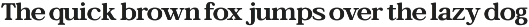 Bagiora - Chunky Foodie Serif Font preview