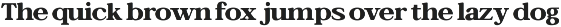Bagiora - Chunky Foodie Serif Font preview