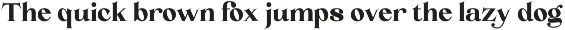 Hola Martini | Modern Serif Font preview