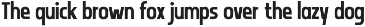 Nevanty - Condensed Ligature Font preview