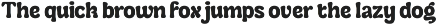 Cranwich — Playful Groovy Serif preview