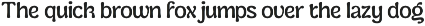 Cranwich — Playful Groovy Serif preview