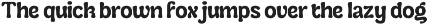 Cranwich — Playful Groovy Serif preview