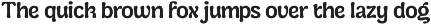 Cranwich — Playful Groovy Serif preview