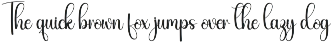 Carnival | Script Font preview