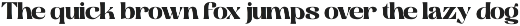 Martina Retro - Branding Logo Font preview