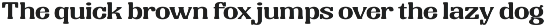 Vivid Palm | Display Font preview