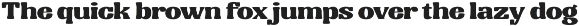 Vivid Palm | Display Font preview