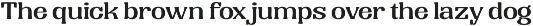 Vivid Palm | Display Font preview