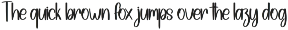 Winter Christmas | Script Font preview