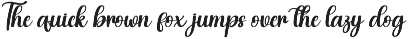 Daily | Script Font preview