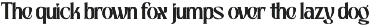 Foga - Modern Serif Logo Font preview