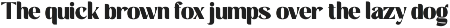 Saitering | A Modern Sans Serif preview