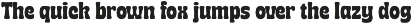 TNSC Coffee & Waffle - Font Duo! preview