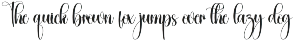 Sailing | Script Font preview