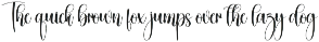 Swifty | Script Font preview