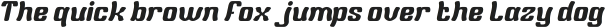 Wild Cat Italic otf (400) Sample