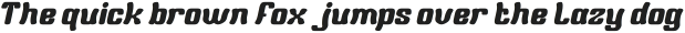 Wild Cat Bold Italic otf (700) Sample