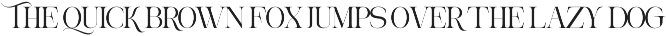 Aroney Family | 5 Style Fonts preview