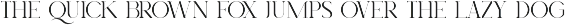Royal Garden - Unique Semi Serif preview