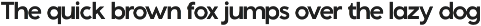 Supernus - Sans serif Font Family preview