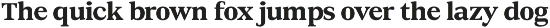 DTF Benhill - Serif Family preview