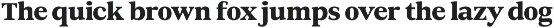 DTF Benhill - Serif Family preview