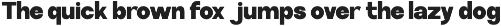 Archa Manic - Variable Sans Font preview