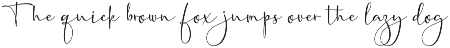 Gaston Honey - A New Font Duo preview