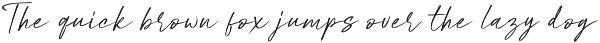 Pinky Gallito / Pretty Handwritten preview