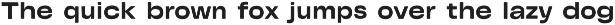 Wide Road Bold Decorative Font preview