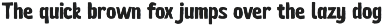 The Baillers Font Duo preview