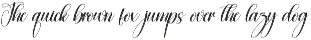 Nothing | Script Font preview
