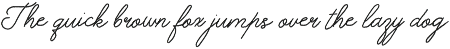 Enlace Romance Delicate Script Font preview