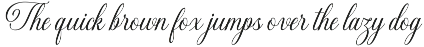 Gastonia Script preview