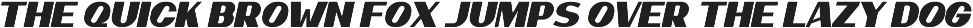 Trucho Bold Sans Font preview