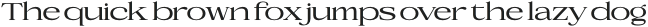 Coldetica Serif Ultra Expanded otf (900) Sample