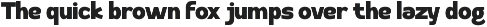 Sokochi - Bold Modern Ligature Font preview