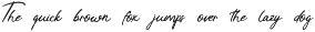Tropical Streamline Handwritten Font preview