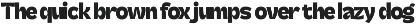 Skatyn Gator Modern Bold Serif preview