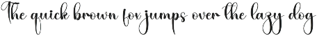 Delightful | Script Font preview