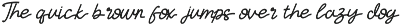 Selovia - Monoline Script Typeface preview
