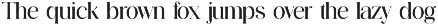 Modest Steady Display Serif Font preview