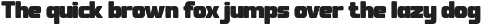 Satuva - Family Sans Serif Font preview