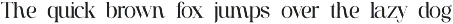 Brigton Newport Serif Font preview