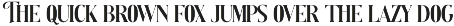 Monarch Paradox Vintage Serif Font preview