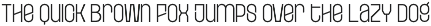 Eatge - Stylish Sans Serif Family preview