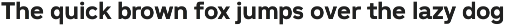 Madion Sans -Modern Formal Sans preview