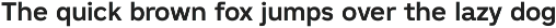 Madion Sans -Modern Formal Sans preview